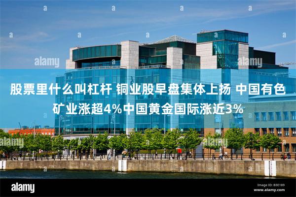 股票里什么叫杠杆 铜业股早盘集体上扬 中国有色矿业涨超4%中国黄金国际涨近3%