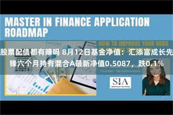 股票配债都有赚吗 8月12日基金净值：汇添富成长先锋六个月持有混合A最新净值0.5087，跌0.1%