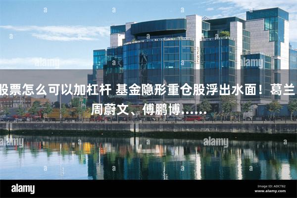 股票怎么可以加杠杆 基金隐形重仓股浮出水面！葛兰、周蔚文、傅鹏博......