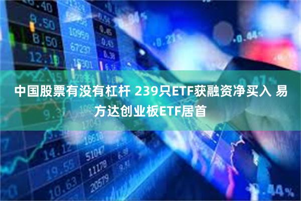 中国股票有没有杠杆 239只ETF获融资净买入 易方达创业板ETF居首