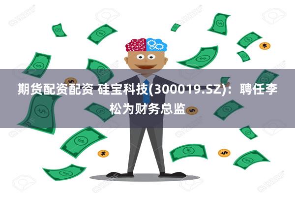 期货配资配资 硅宝科技(300019.SZ)：聘任李松为财务总监