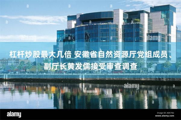 杠杆炒股最大几倍 安徽省自然资源厅党组成员、副厅长黄发儒接受审查调查