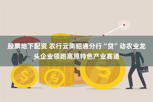 股票地下配资 农行云南昭通分行“贷”动农业龙头企业领跑高原特色产业赛道