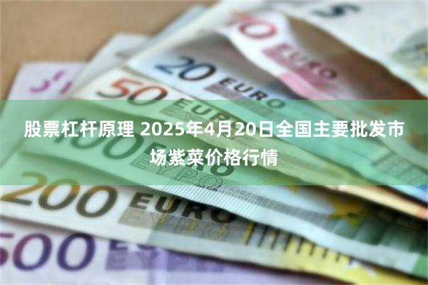股票杠杆原理 2025年4月20日全国主要批发市场紫菜价格行情