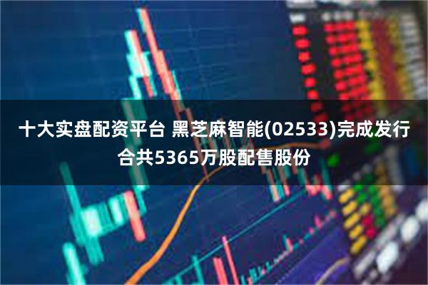 十大实盘配资平台 黑芝麻智能(02533)完成发行合共5365万股配售股份