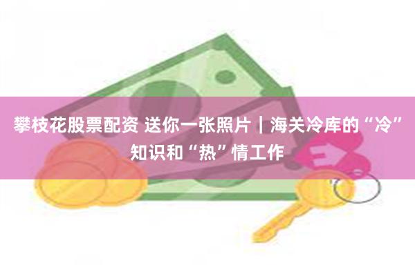攀枝花股票配资 送你一张照片｜海关冷库的“冷”知识和“热”情工作