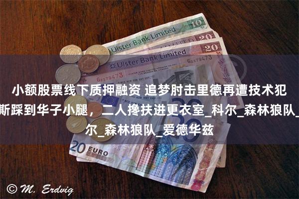 小额股票线下质押融资 追梦肘击里德再遭技术犯规，戴维斯踩到华子小腿，二人搀扶进更衣室_科尔_森林狼队_爱德华兹
