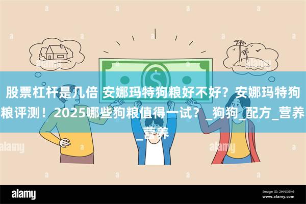股票杠杆是几倍 安娜玛特狗粮好不好？安娜玛特狗粮评测！2025哪些狗粮值得一试？_狗狗_配方_营养