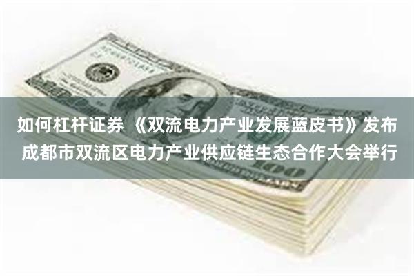 如何杠杆证券 《双流电力产业发展蓝皮书》发布 成都市双流区电力产业供应链生态合作大会举行