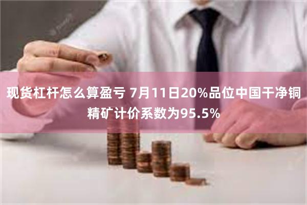 现货杠杆怎么算盈亏 7月11日20%品位中国干净铜精矿计价系数为95.5%