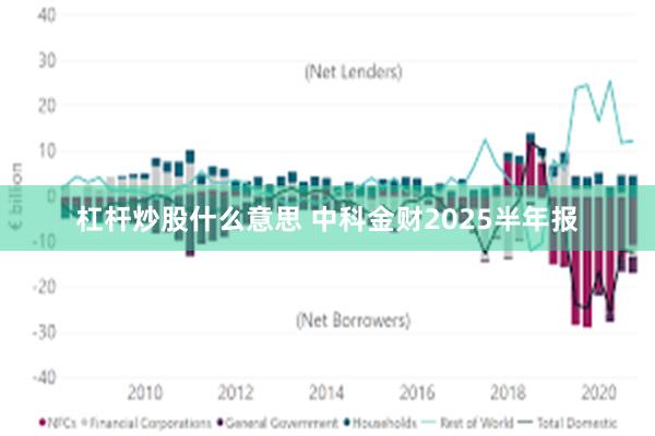 杠杆炒股什么意思 中科金财2025半年报