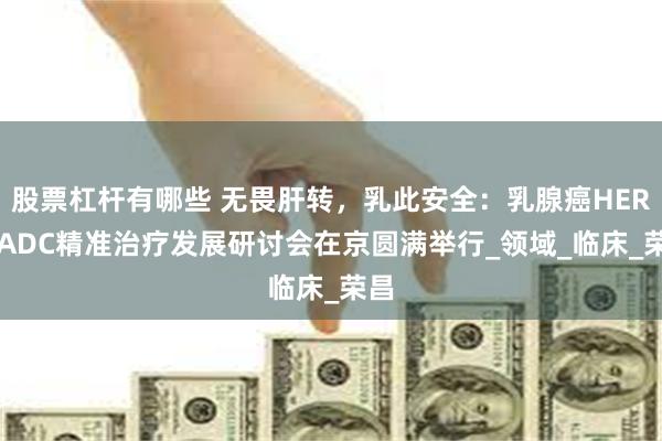股票杠杆有哪些 无畏肝转，乳此安全：乳腺癌HER2-ADC精准治疗发展研讨会在京圆满举行_领域_临床_荣昌