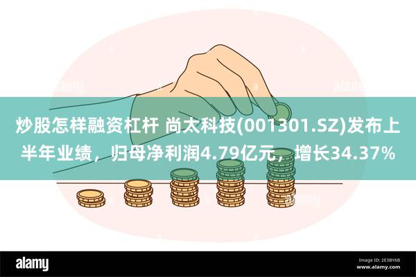 炒股怎样融资杠杆 尚太科技(001301.SZ)发布上半年业绩，归母净利润4.79亿元，增长34.37%