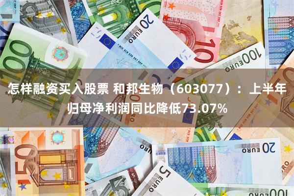怎样融资买入股票 和邦生物（603077）：上半年归母净利润同比降低73.07%