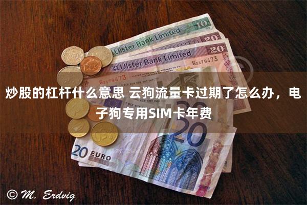 炒股的杠杆什么意思 云狗流量卡过期了怎么办，电子狗专用SIM卡年费